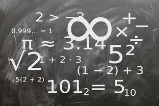 kaiyun体育综合-中小学体育教师教学技能提升研究，中小学体育教学的基本技能