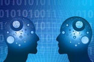 开云平台-教学资源数字转型，数字化教学资源的生成与管理