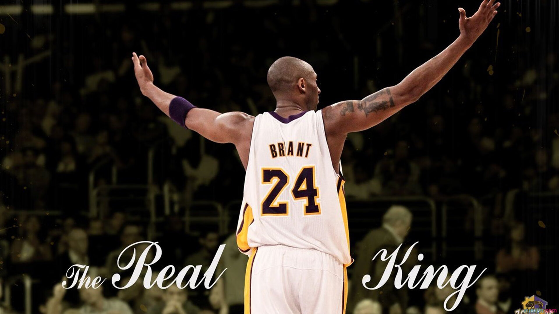 开云体育官方网站网址-换帅潮：球队管理层的人员调整引发关注，nba换帅